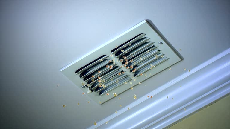 Best Local Air Duct Cleaning Services  in Centerville, CA